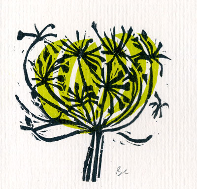 Seed head